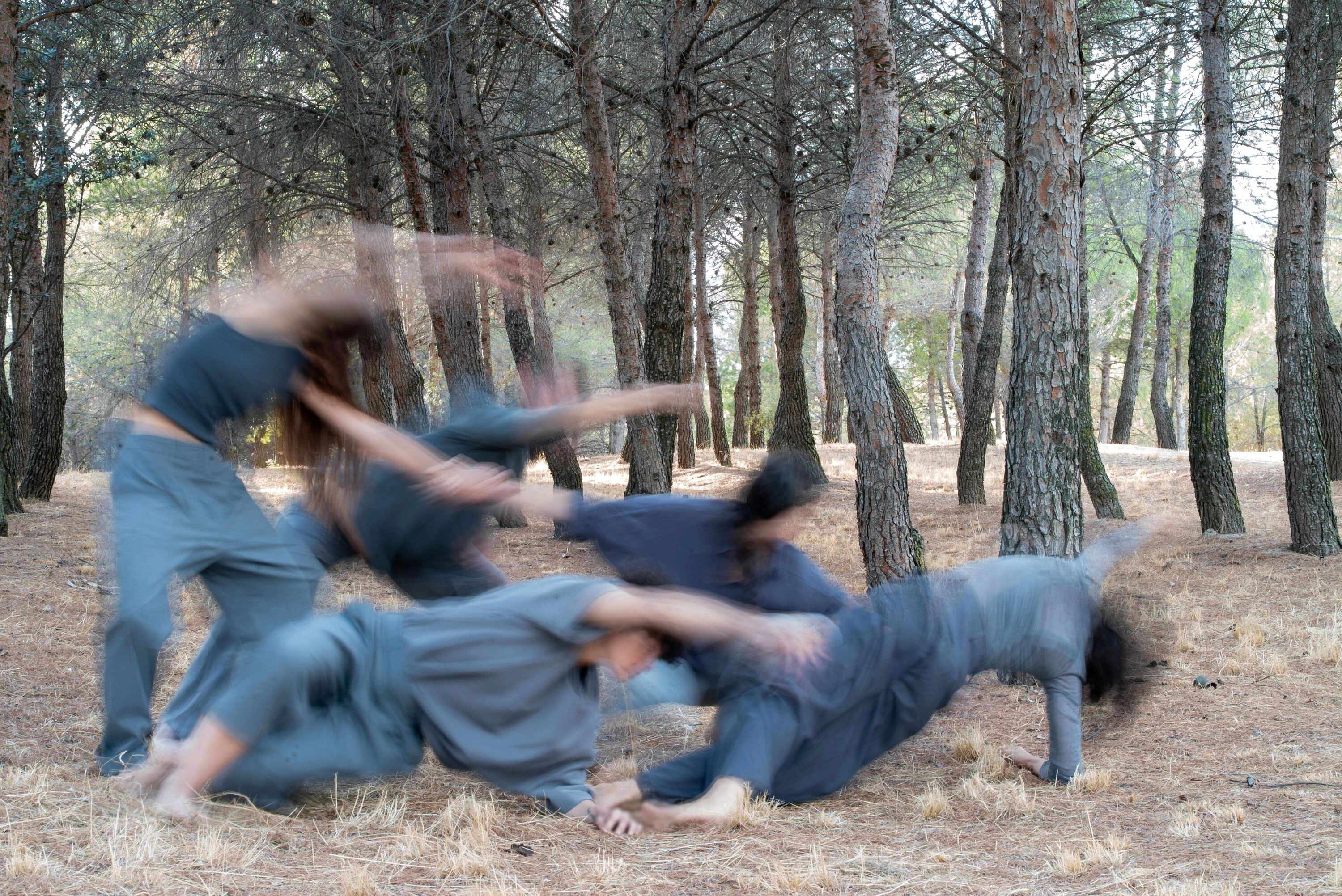 Ábrego. Ana Erdozain