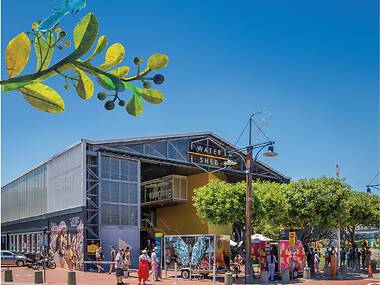 Shop like a local Shop like a local