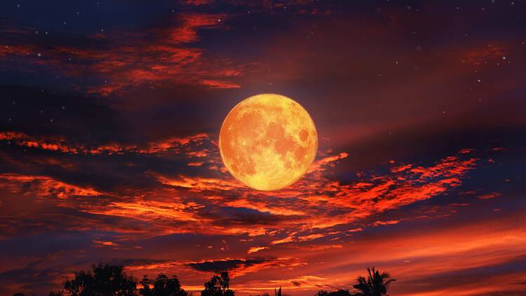 Blood Moon Blood Moon