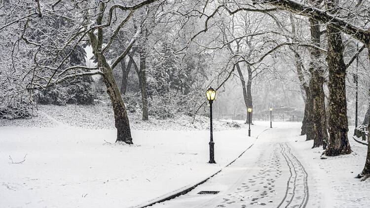Snow in NYC