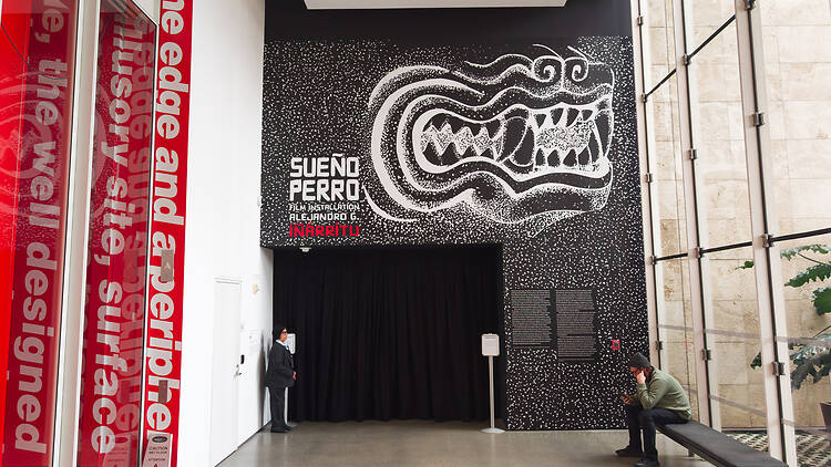 Sueño Perro: A Film Installation by Alejandro G. Iñárritu