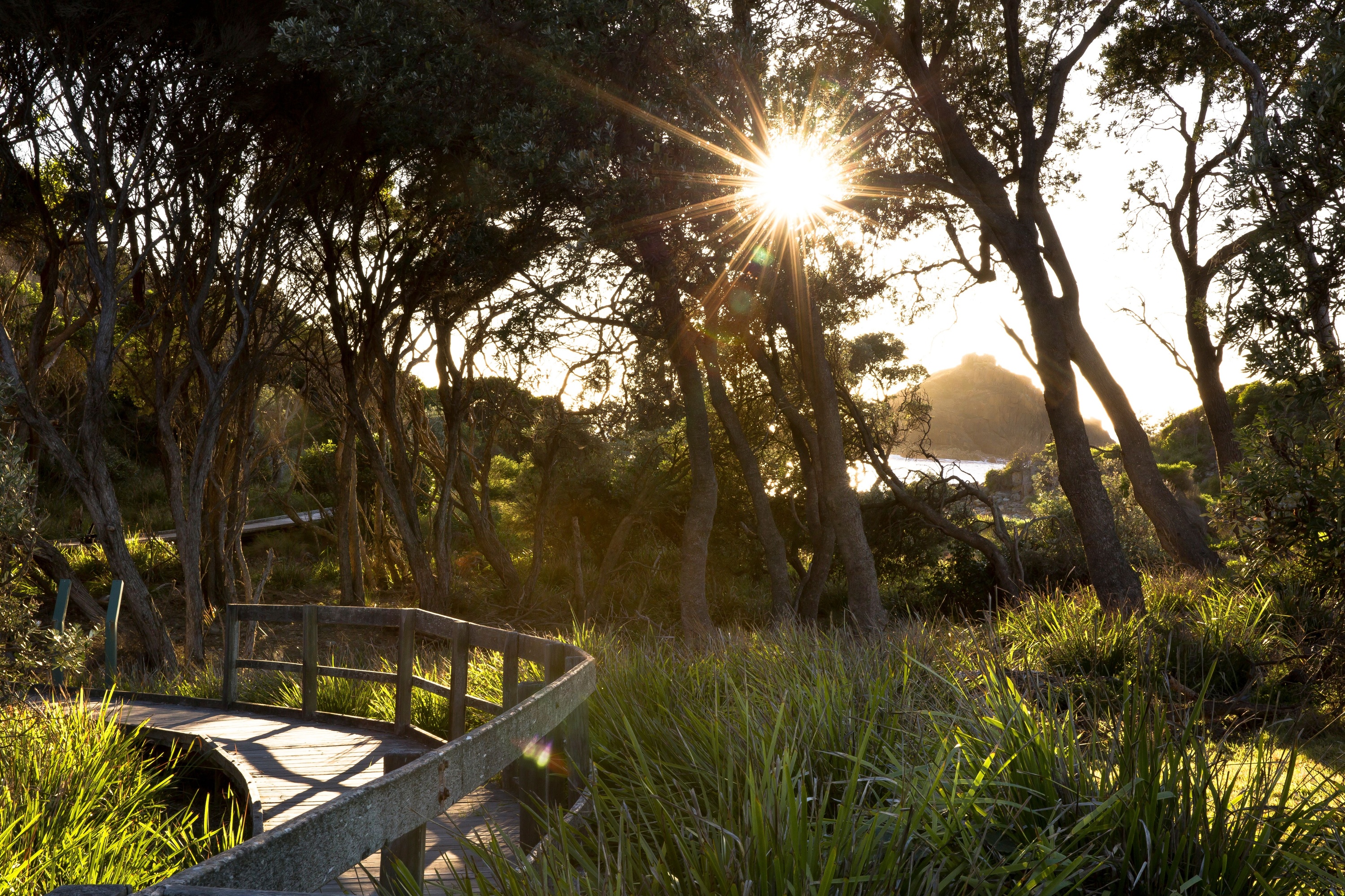 This beloved NSW National Park is getting major upgrades – with part-closures until late this year
