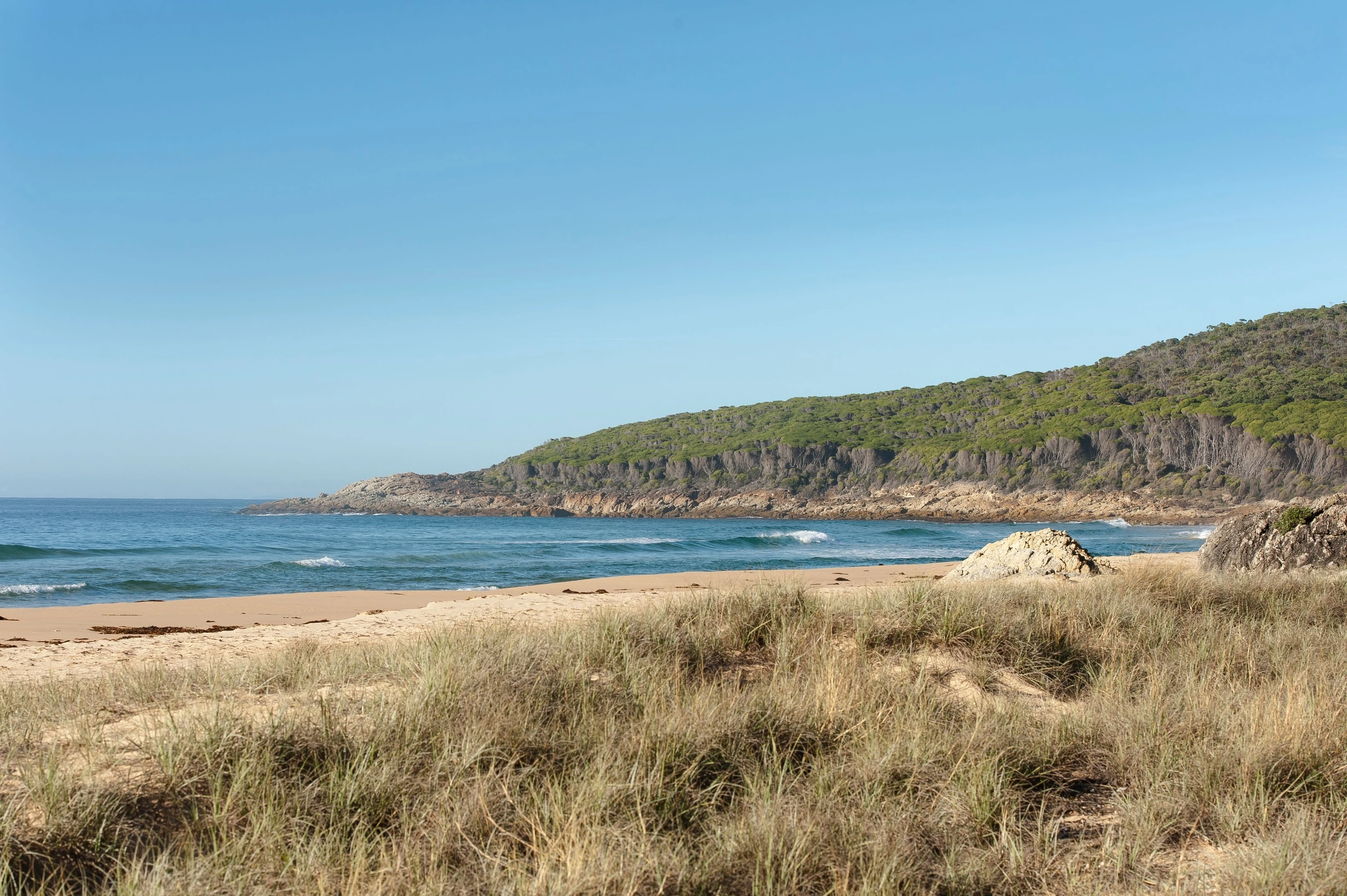 beach in Mimosa Rocks National Park