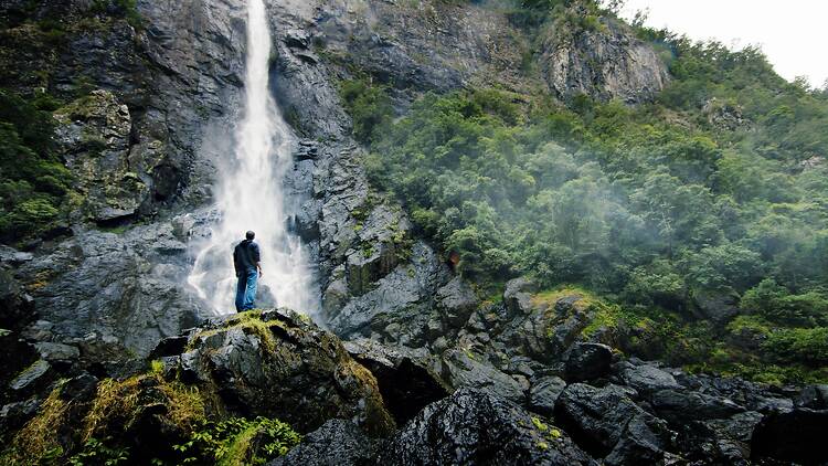 Ellenborough Falls, North Coast Ellenborough Falls at Elands, North Coast