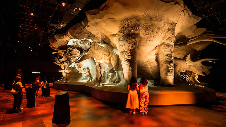 Realm of the Giants traces the rise and fall of giant life forms over millions of years