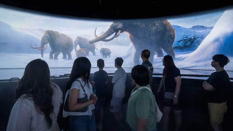 The Giants Show at Realm of the Giants