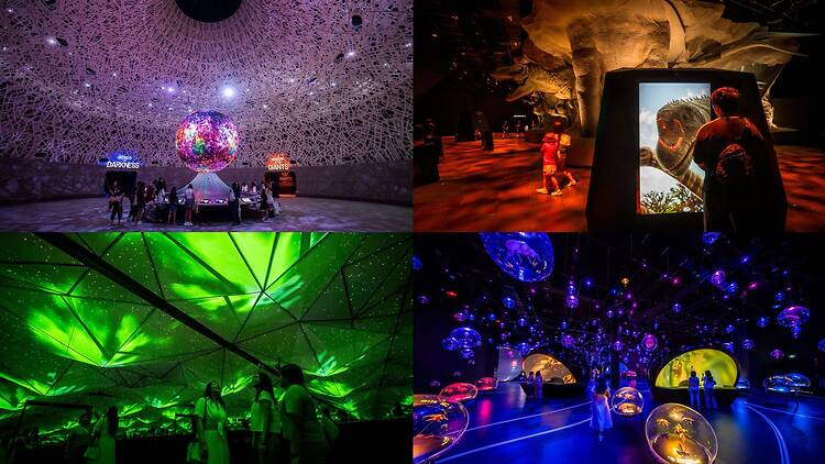 Top: (Left) Our Interconnected World (Right) Realm of the Giants / Bottom: (Left) Infinite Wonderland (Right) Micro Worlds