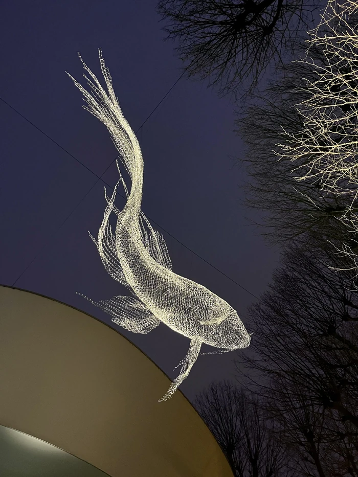 Nadar la noche. C&eacute;dric Le Borgne