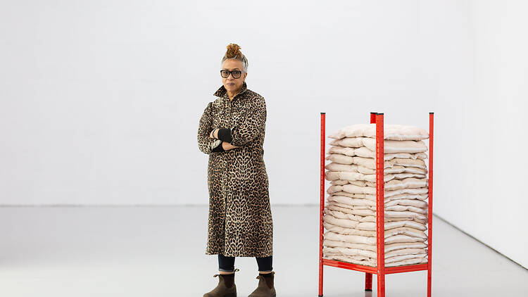 Veronica Ryan, Along a Spectrum, 2021