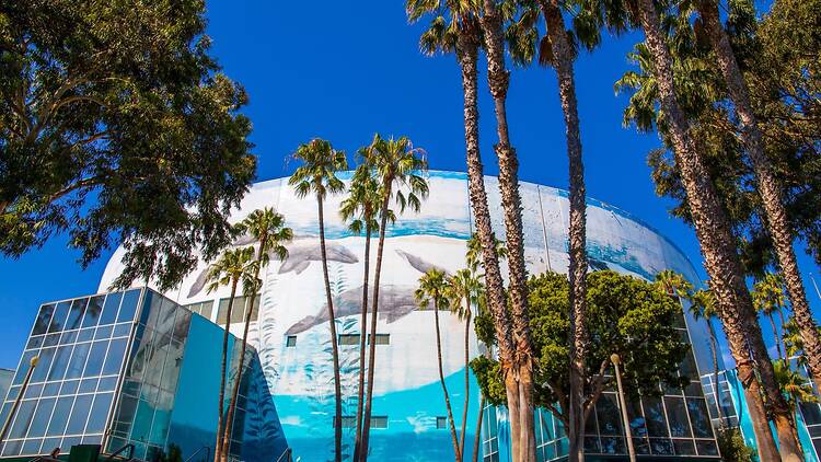 Long Beach Convention Center (Long Beach Arena, Long Beach Target Shooting Hall, Long Beach Aquatics Center and Long Beach Climbing Theater)