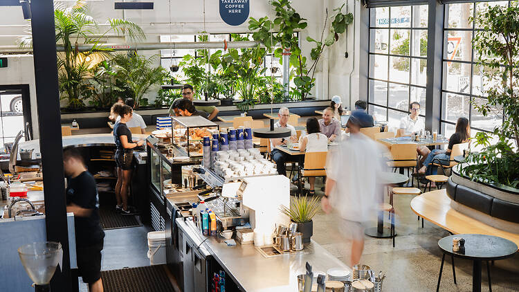 Veneziano Coffee Roasters