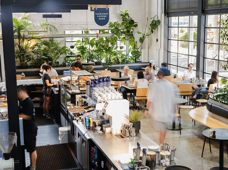 Veneziano Coffee Roasters