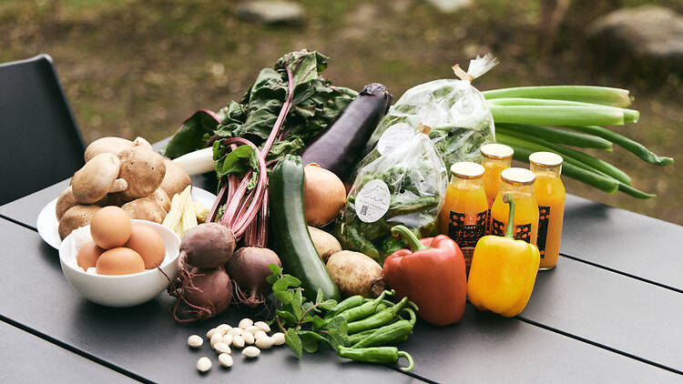 You’ll get to taste Hakone at its wildest