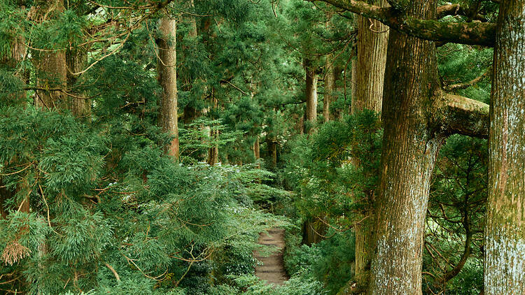 You can trek a centuries-old path through the woods