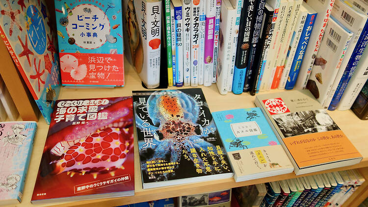 SAKANA BOOKS