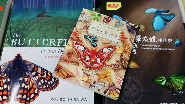 昆虫文献 六本脚