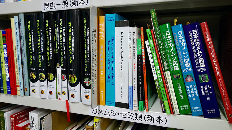 昆虫文献 六本脚