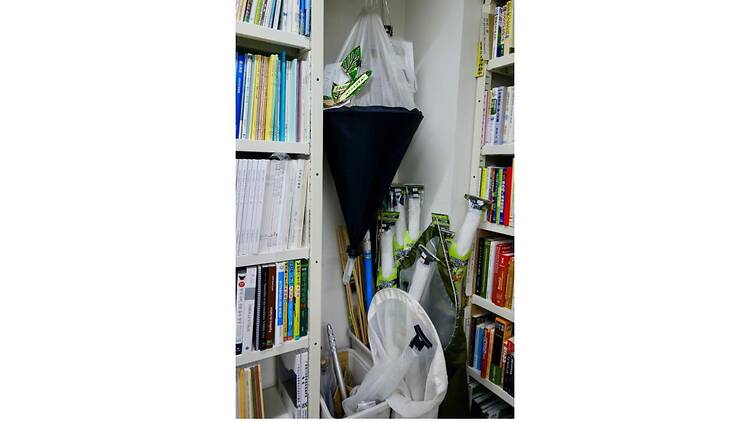 昆虫文献 六本脚