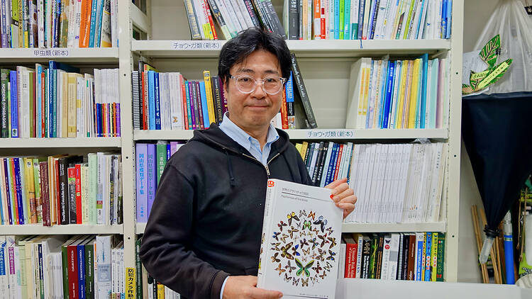 昆虫文献 六本脚