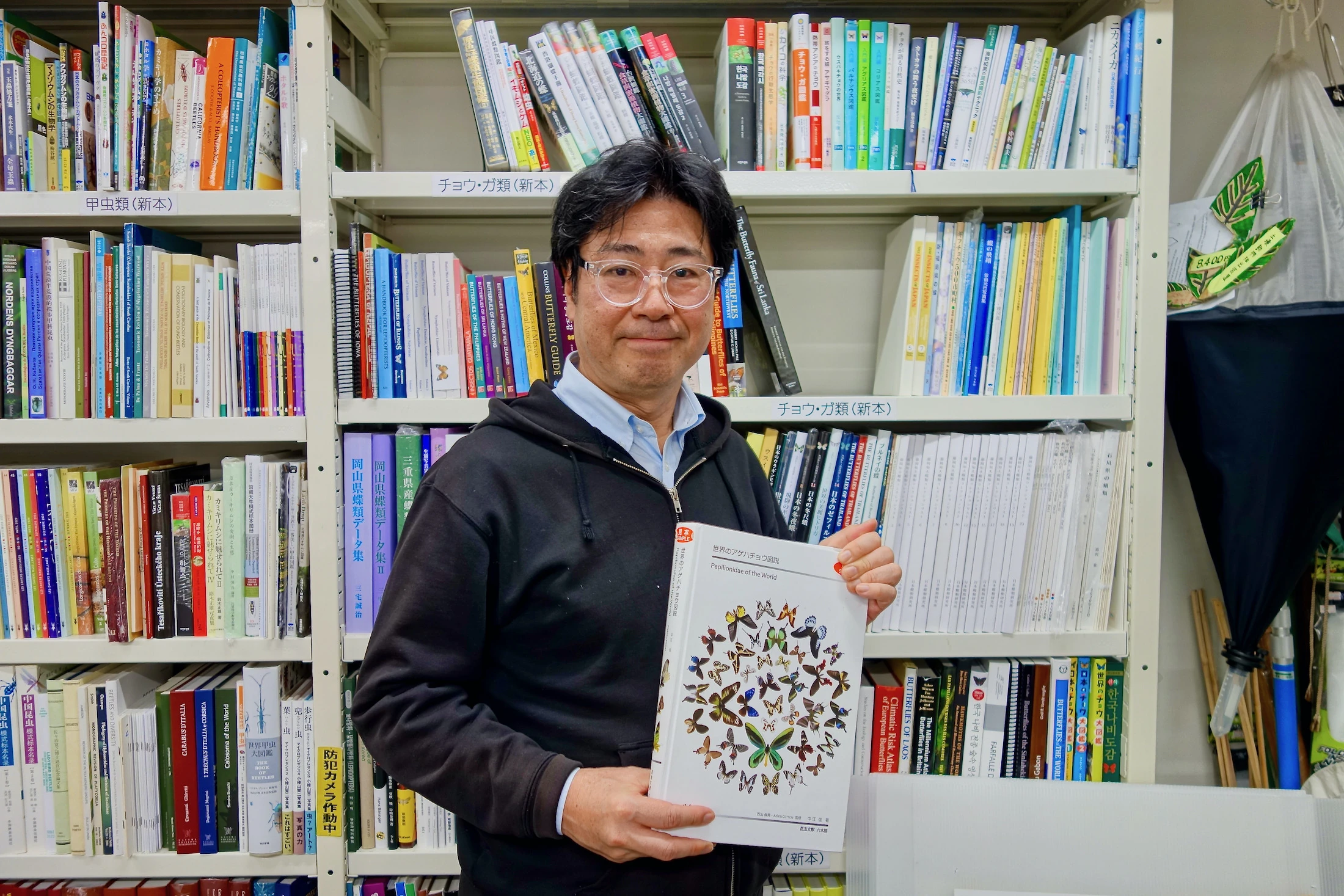 昆虫文献 六本脚