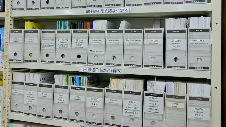 昆虫文献 六本脚