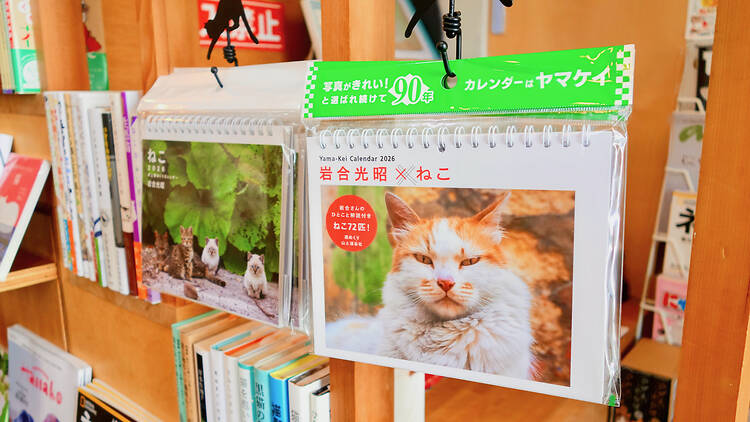 Cat's Meow Books