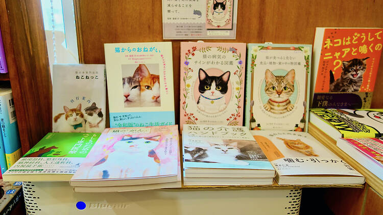 Cat's Meow Books