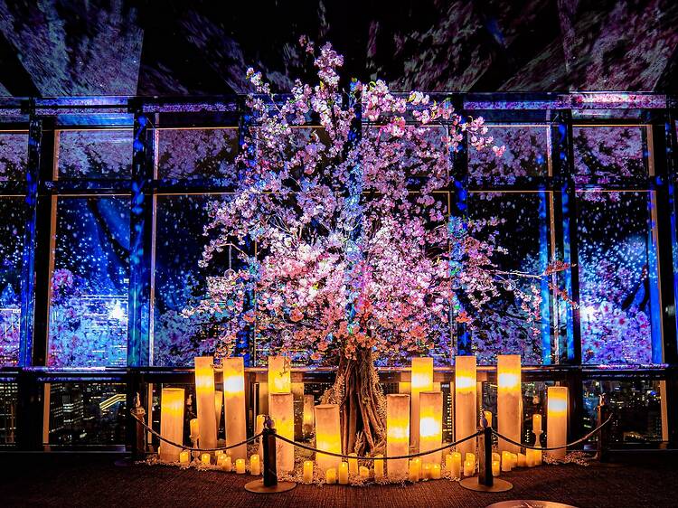 The best things to do in Tokyo this weekend