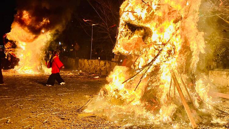 Sagicho Festival Sagicho Festival