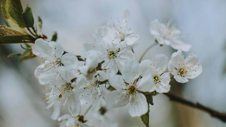 Place de la Laïcité à Romainville