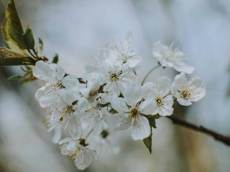 Place de la Laïcité à Romainville