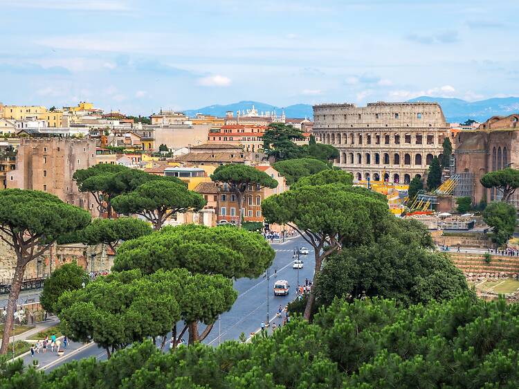 Why is Rome chopping down its iconic pine trees?