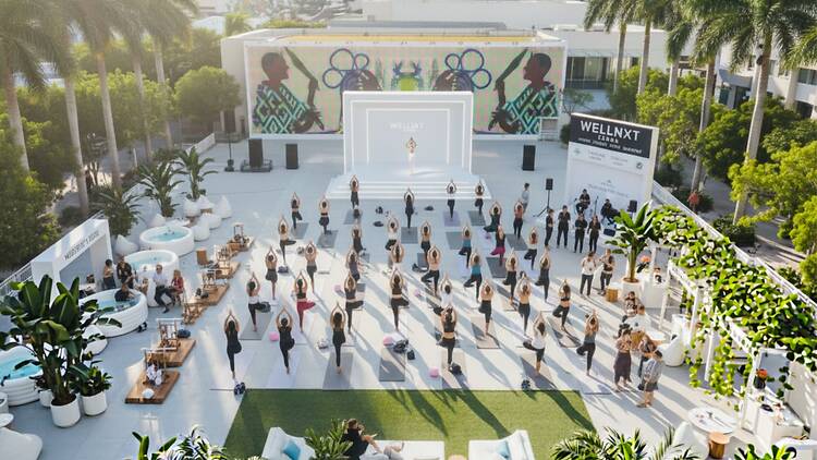 Wellness, Yoga, Festival Wellness, Yoga, Festival