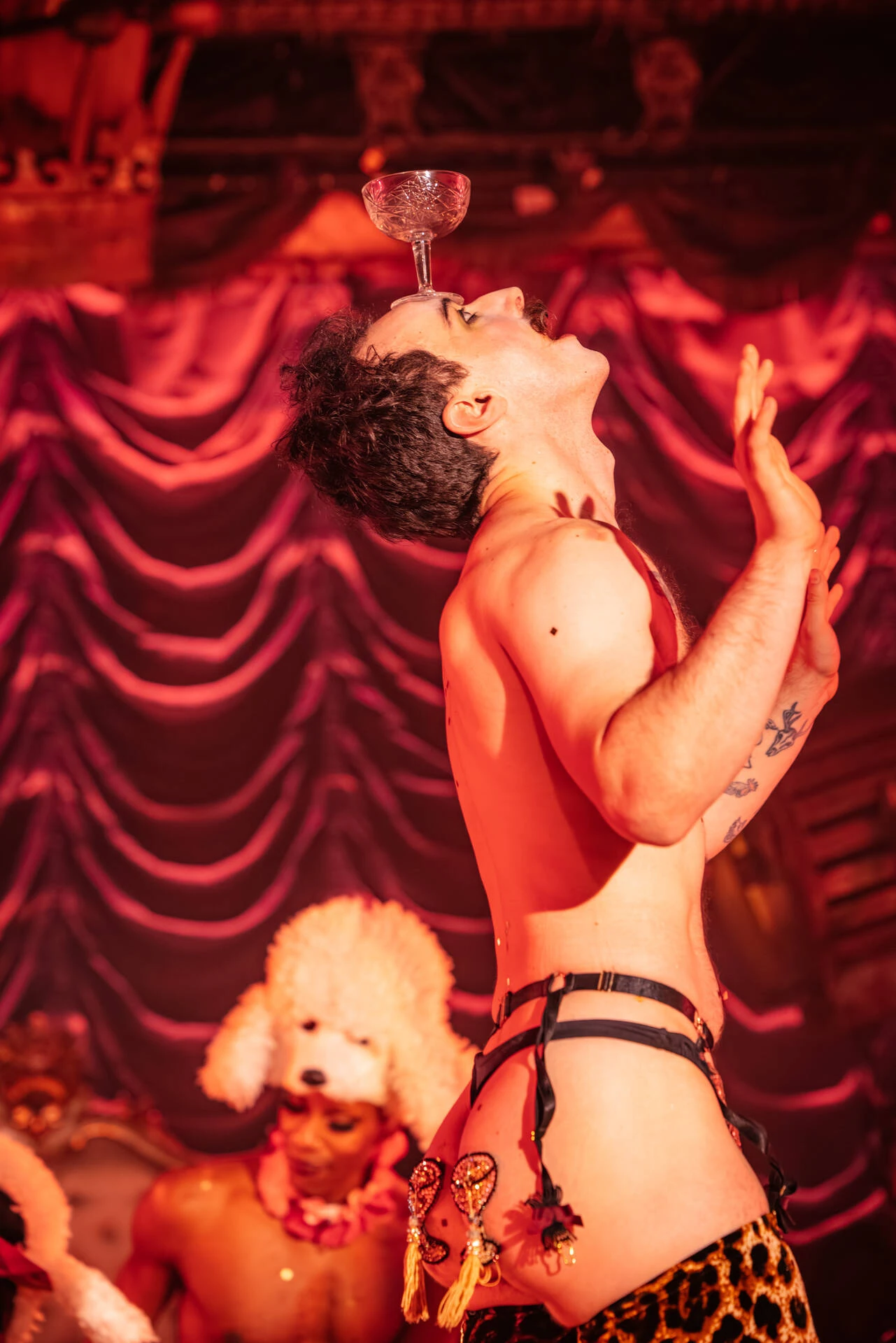 Company XIV: Petite Rouge