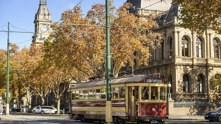 Bendigo tram 