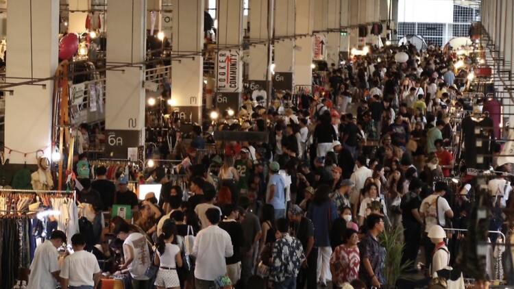 Hunt for vintage gems with pets at Looker 'n' Friends' reunion-feeling market