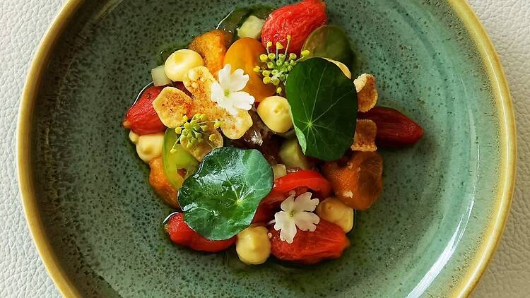 A meal from Cyra meal A meal from Cyra meal