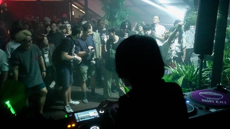 Pulsing beats at Jungle Lab