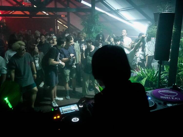 Pulsing beats at Jungle Lab