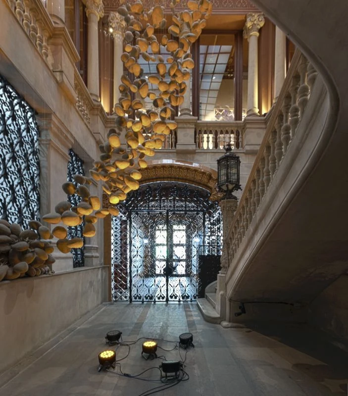 Casa Casas-Carb&oacute;