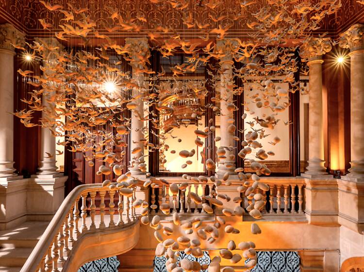 ¿Por qué los turistas se han obsesionado con la tienda Massimo Dutti de Paseo de Gracia?