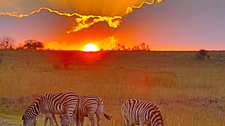 Rietvlei Nature Reserve