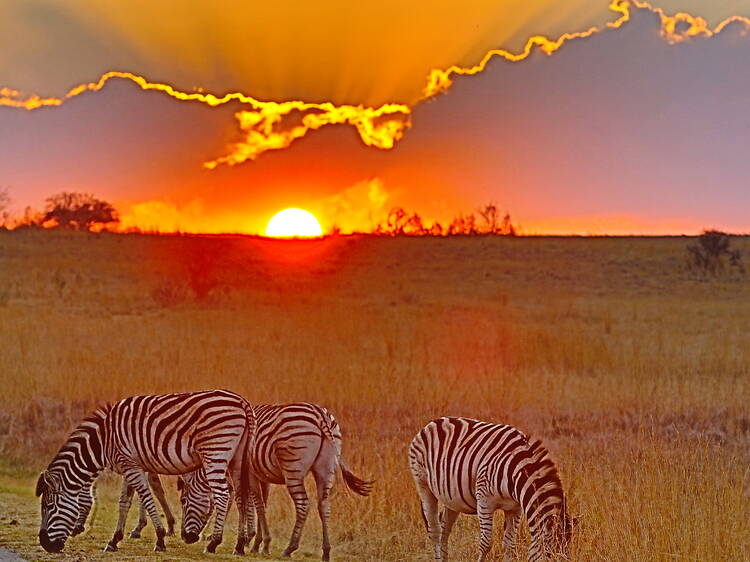 Rietvlei Nature Reserve