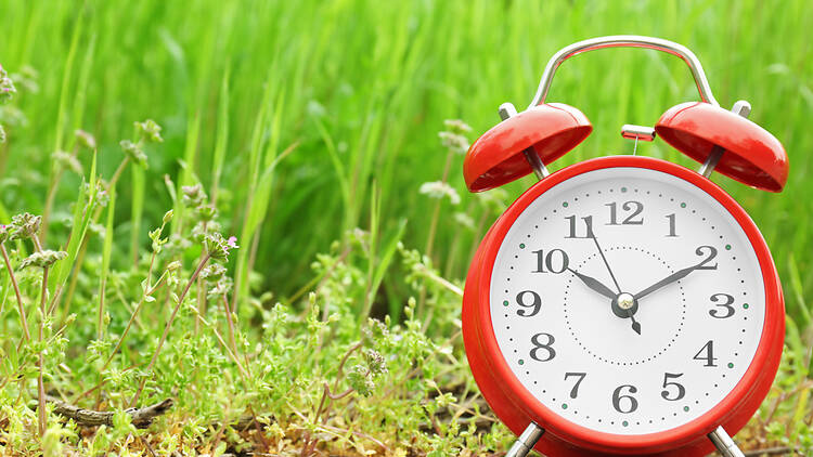 Clock with green grass