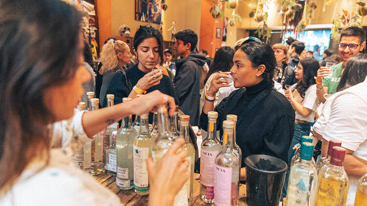 Festival du mezcal et de la tequila