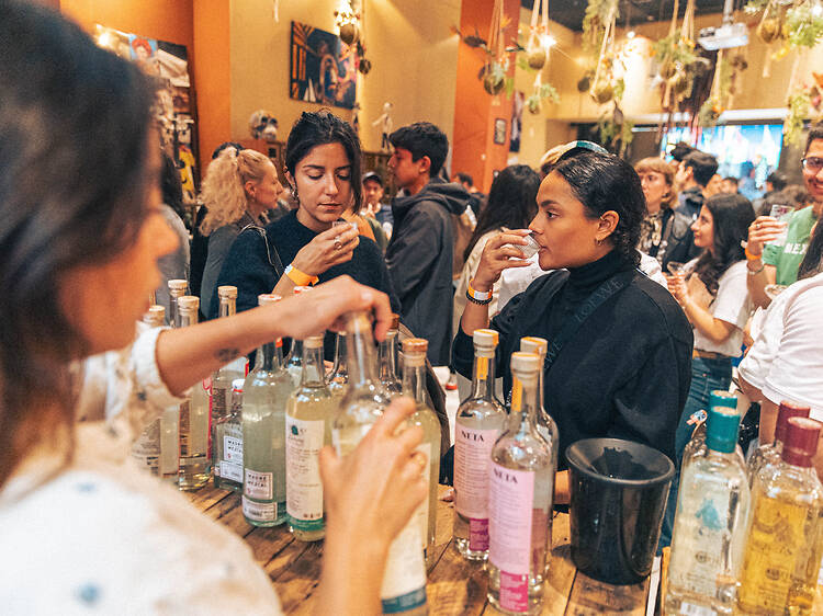 À Paris, le festival Viva Agave célèbre tequila, mezcal et autres aguardiente