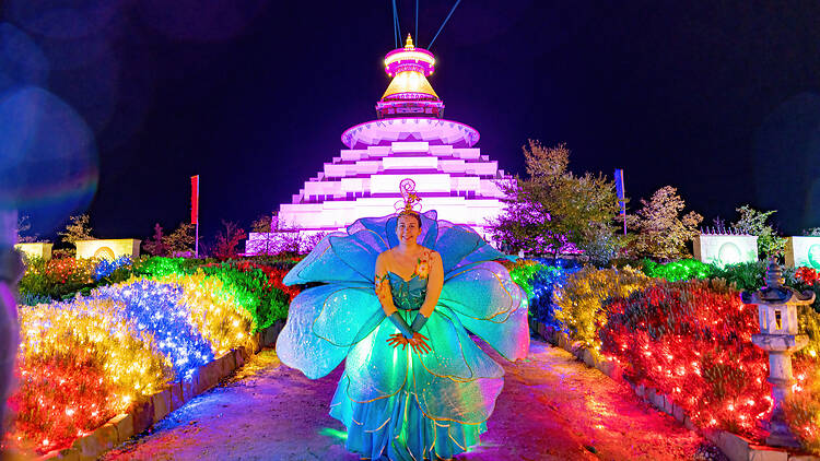 Illumin8: Festival of Light and Peace