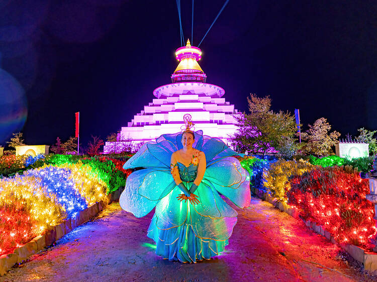 Illumin8: Festival of Light and Peace