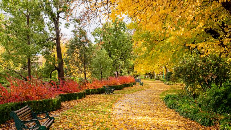 A park in autumn