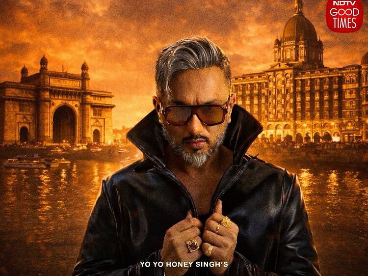 Yo Yo Honey Singh Tour